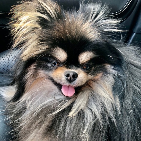 Meet your Posher, Mary beth - Picture 1 of 1